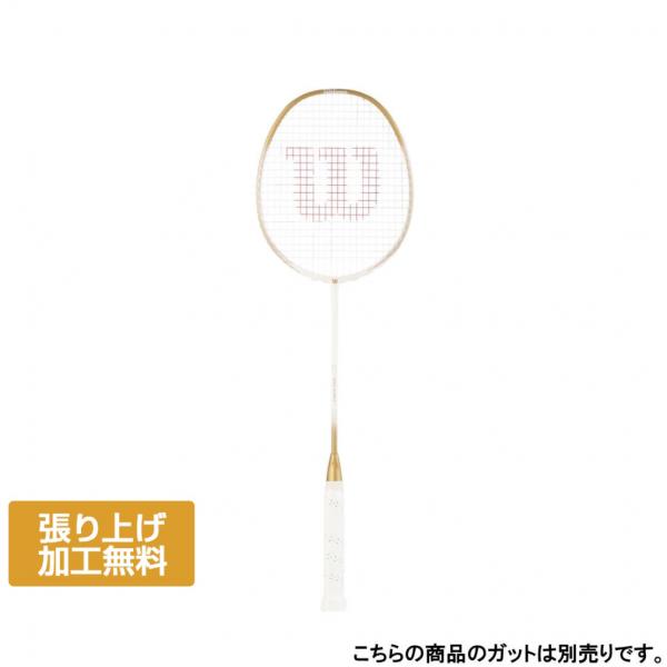 フィアース　パワースキン　バドミントンラケット 2本セット フィアース パワースキン バドミントンラケット 2本セット