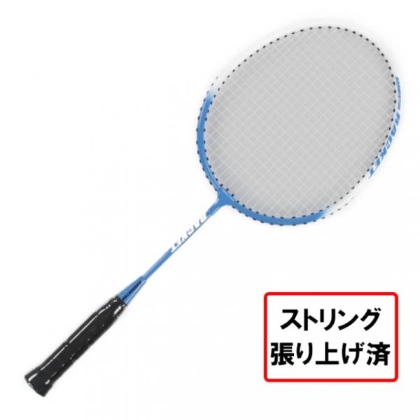 IGNIO イグニオ バドミントン 張り上がりラケット IG-2MG4009