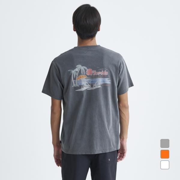 【セール中！】アルフィー　新品Tシャツ　２枚セット alpen-group_3198201514