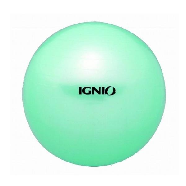 イグニオ Ignio バランストレーニング フィットネスボール バランスボール 直径55cm アクア アルペン Paypayモール店 通販 Paypayモール