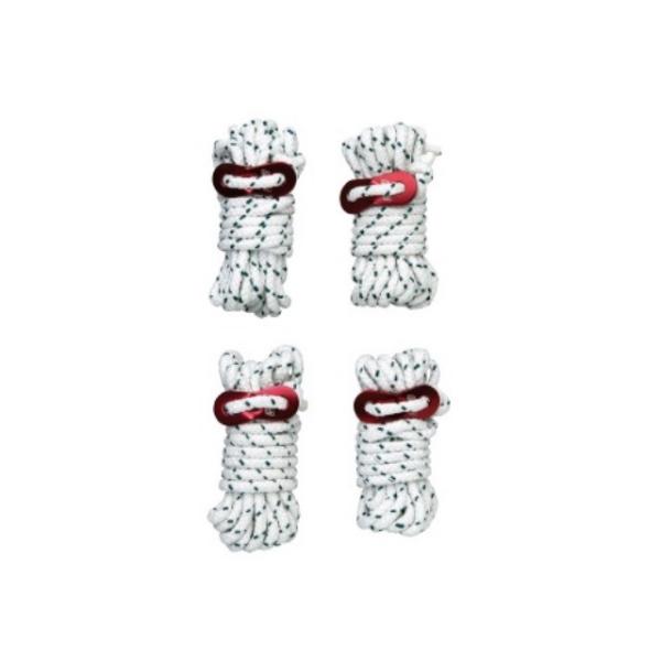 R[} KC[v 3m 4{ (170TA0038) Lv eg [v Coleman