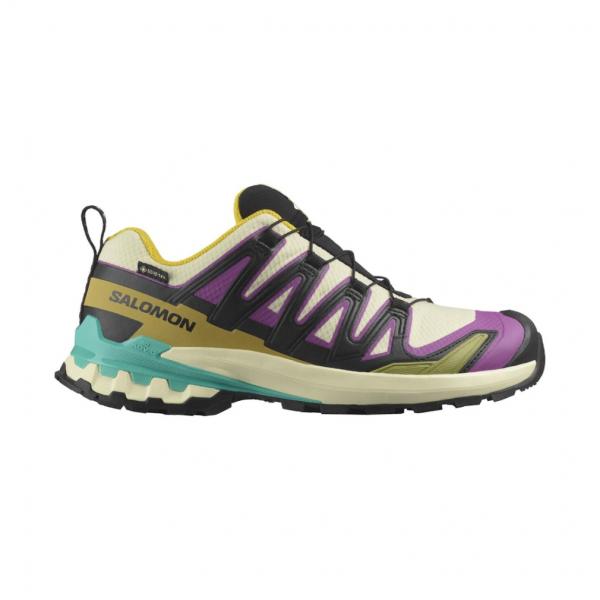 最終価格　SALOMON LADY'S 2点セット SALOMON 2025秋冬 サロモン XA PRO 3D V9 GTX W L47882200