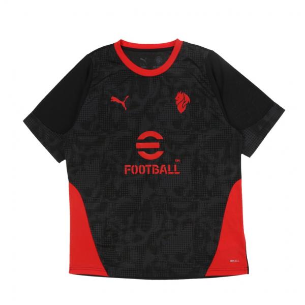 PUMA 滋賀県代表 SHIGA トレセン　シャツ 背番号10　プーマ 県トレ プーマ（PUMA）（キッズ）ボーイズ ラントレイン 半袖Tシャツ