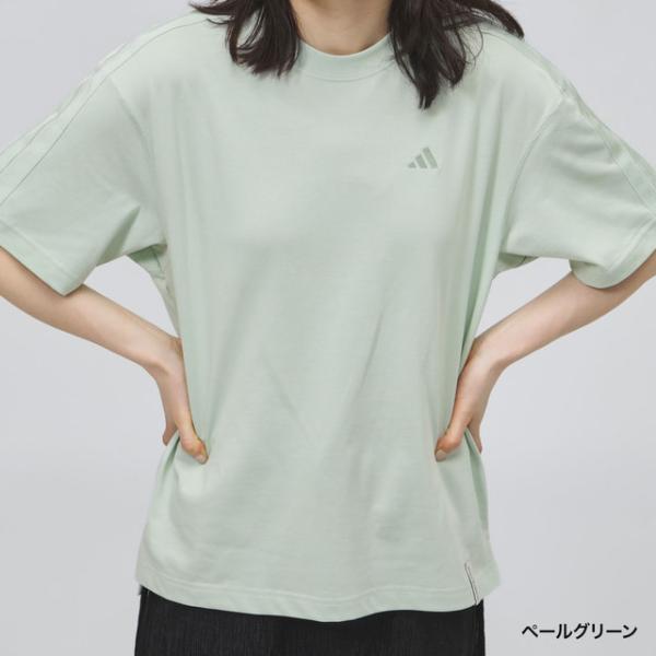 新春セール！【未使用】アライブン　アクティブTシャツ プレミアム　レディース M alpen-group_9460570126