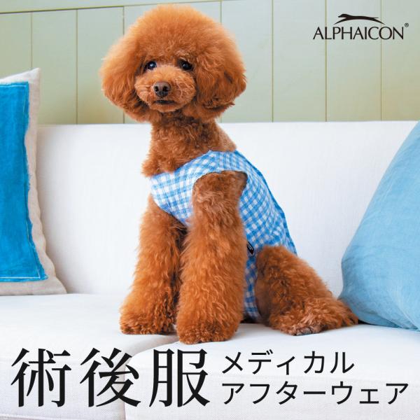 yALPHAICONzp㕞(fBJAt^[EFA) 2