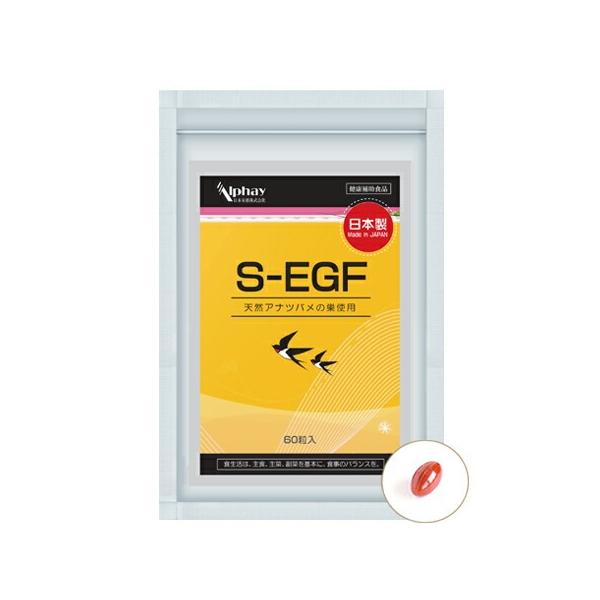 天然 ツバメの巣 サプリ 60粒 無添加 つばめの巣 燕の巣 シアル酸 糖鎖 EGF 成長因子 ハリ 敏感肌 乾燥 毛穴 肌荒れ
