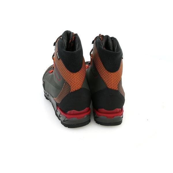 alpine-rose_1312_3_d_20251224133920