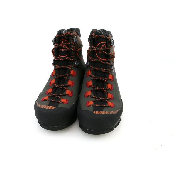 alpine-rose_1312_4_d_20251224133920