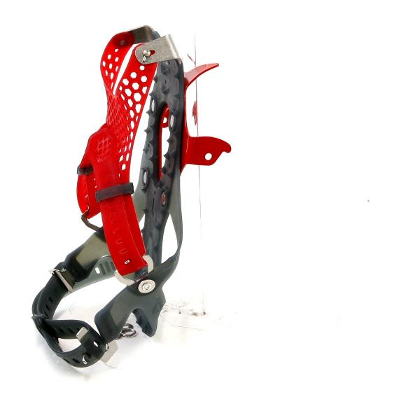 alpine-rose_2054_1_d_20260404145919