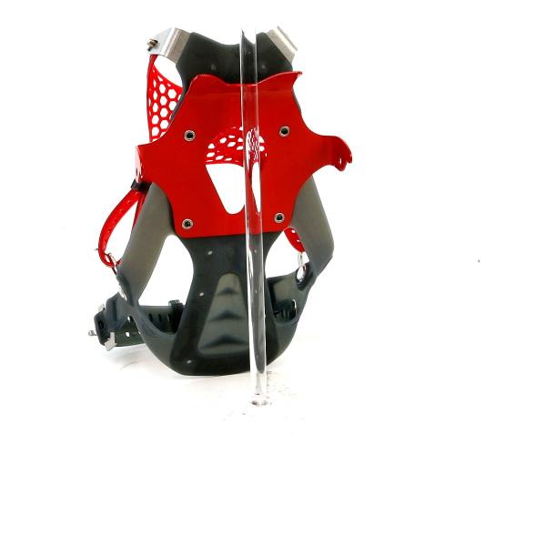 alpine-rose_2054_2_d_20260404145920