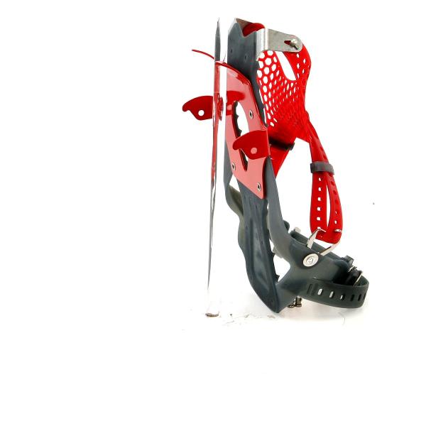 alpine-rose_2054_3_d_20260404145920