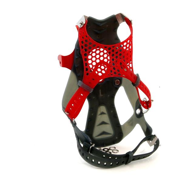 alpine-rose_2054_4_d_20260404145921