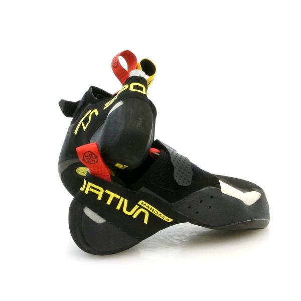 alpine-rose_2137_2_d_20260325135028