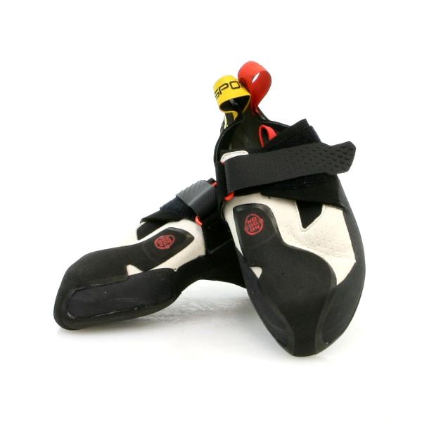 alpine-rose_2137_4_d_20260325135029