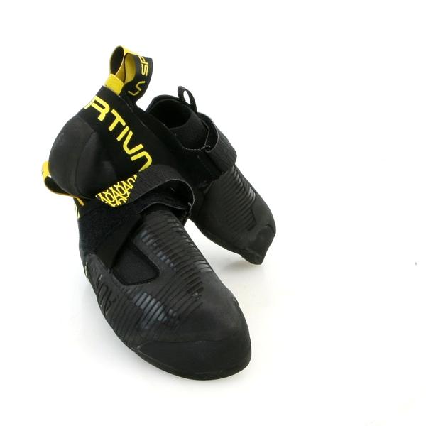 alpine-rose_2201_3_d_20260404095513