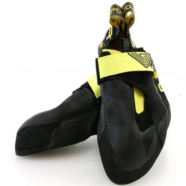 alpine-rose_2307_1_d_20251123224043