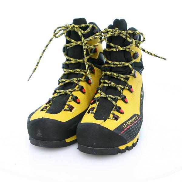 alpine-rose_2354_1_d_20251115135128