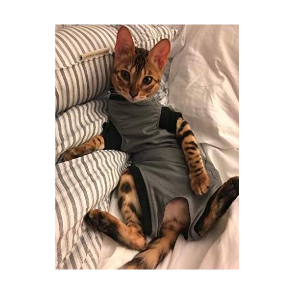 Kruuse Buster 猫用 ボディースーツ 皮膚 傷口の保護 術後ウェア (XXS 