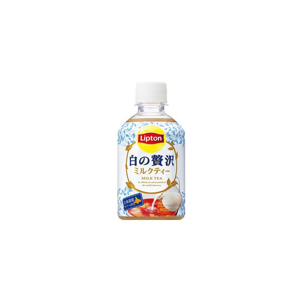 【5セール】「48本」 リプトン 白の贅沢 PET 280ml×24本×2箱 サントリー ミルクティー