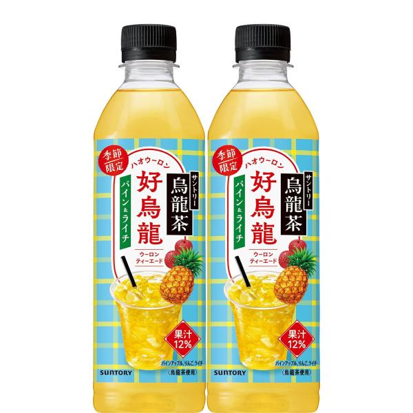 【5セール】「48本」 サントリー烏龍茶 好烏龍（ハオウーロン） パイン＆ライチティーエード 500ml ×24本×2箱