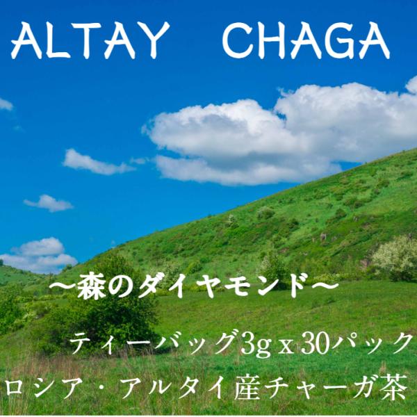 アルタイチャーガ茶　ティーバッグ3ｇｘ30パック　ロシア・アルタイ産　チャーガ茶　カバノアナタケ ネコポスでお届け（代引・同梱不可）