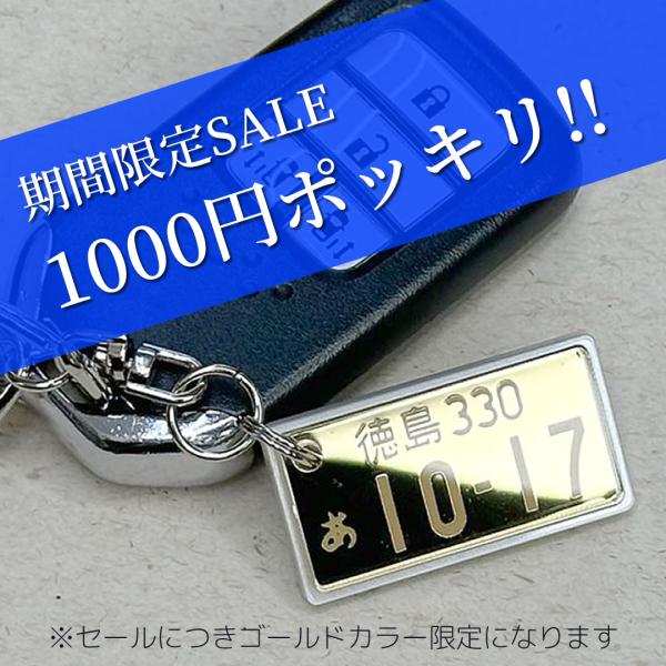 愛車ナンバープレートストラップ 普通車レイアウト クリア ピンクストラップ メール便 ネコポス 送料無料 Np Clr Ps アルタシステム 通販 Yahoo ショッピング