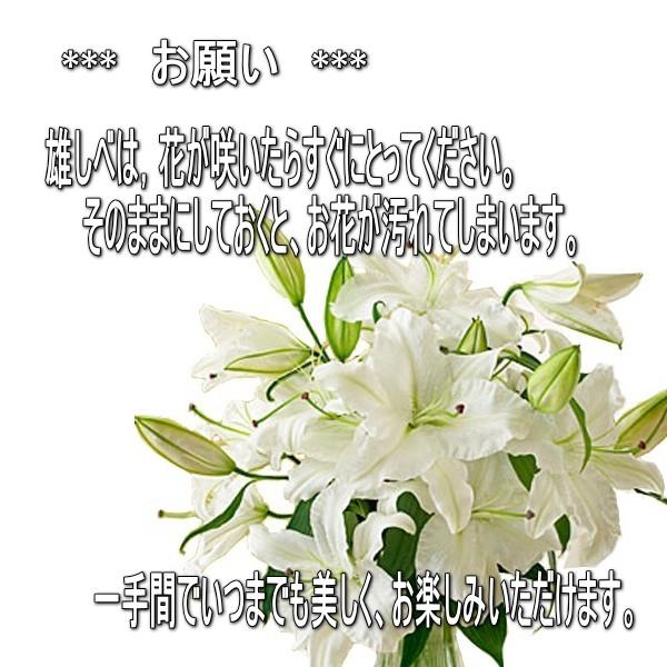 白系ユリの花束 オリエンタルリリー お誕生日 入学祝い 出産祝い ゆり 百合 お供え に :lilywhite:バラ プレゼント アルトルミナーレ - 通販 - Yahoo!ショッピング 白系ユリの花束 オリエンタルリリー お誕生日 入学祝い 出産祝い ゆり 百合 お供え に :lilywhite:バラ プレゼント アルトルミナーレ - 通販 - Yahoo!ショッピング