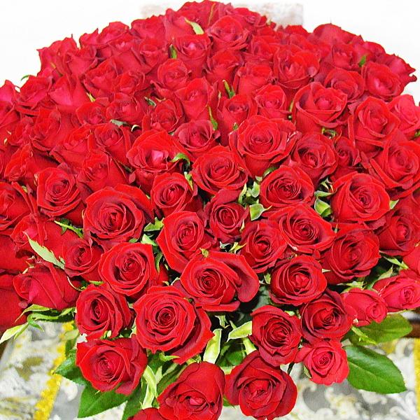 ԃỏԑ@r[@ԃo100{u[P