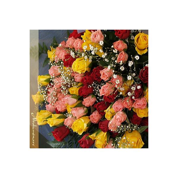 ~bNXJ[@ỏԑ@o100{̃u[P