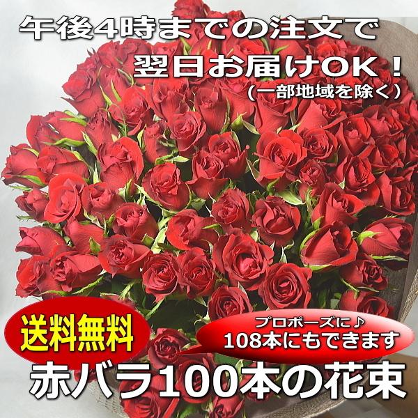赤バラの花束　赤バラ100本のブーケ プロポーズに108本プラスできます！送料無料