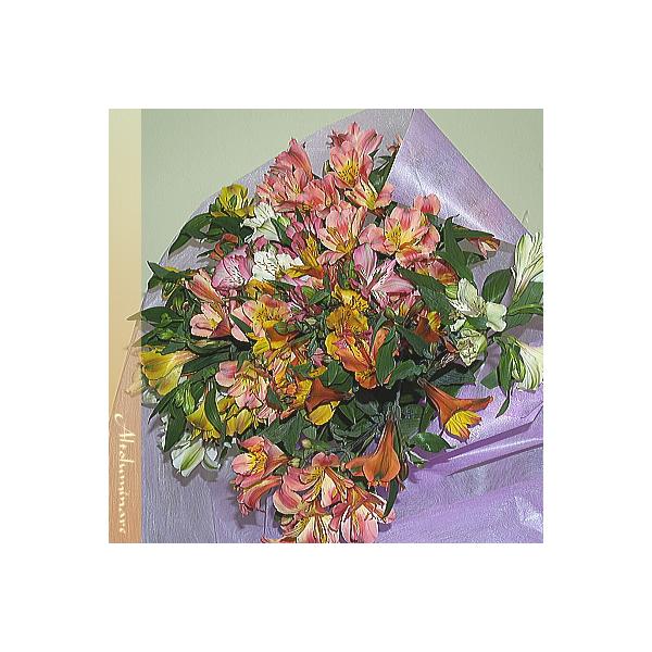 ԑ@݂̂ԁ@@AXgAςiԑj @NCbN͂  