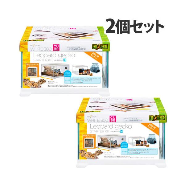 ジェックス レオパ飼育キット M 2個セット ヒョウモントカゲモドキ