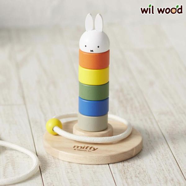 NICHIGAN（ニチガン） 知育玩具 かさねてリングトス ディック