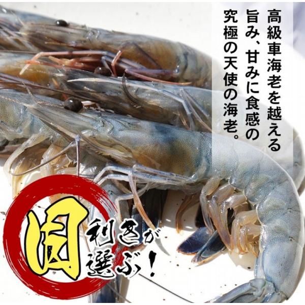 おせち海老えび天使の海老冷凍業務用1kg おせち海老えび天使の海老天使のえび刺身焼エビエビフライ海老エビ約30 40尾1kg 冷凍業務用大容量冷凍便海鮮丼ギフト 代購幫