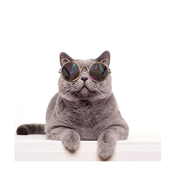 猫 眼鏡 可愛い猫 サングラス メガネ 日焼け対策 小型犬 猫 愛犬の眼の保護 紫外線対策 ペット アクセサリー 写真撮影 ペットアクセサリー 可愛い飾り  :a-B09P3Z7QFQ-20220730:Amadeヤフ-本店 通販 