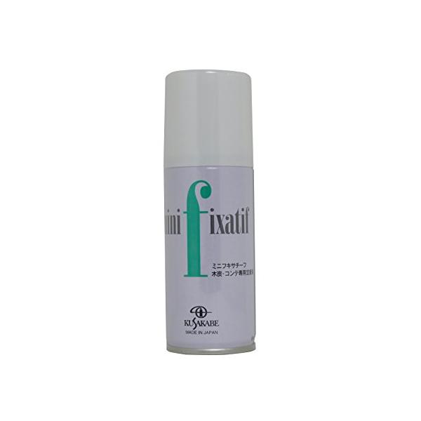 クサカベ(Kusakabe) 画用液 エアゾールミニフキサチーフ 100ml