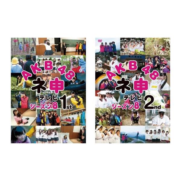 AKB48 ネ申 テレビ シーズン8  1st レンタル落ち 中古 DVD