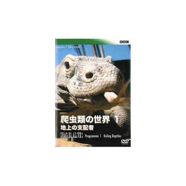 BBC 爬虫類の世界 1 地上の支配者【字幕】 レンタル落ち 中古 DVD