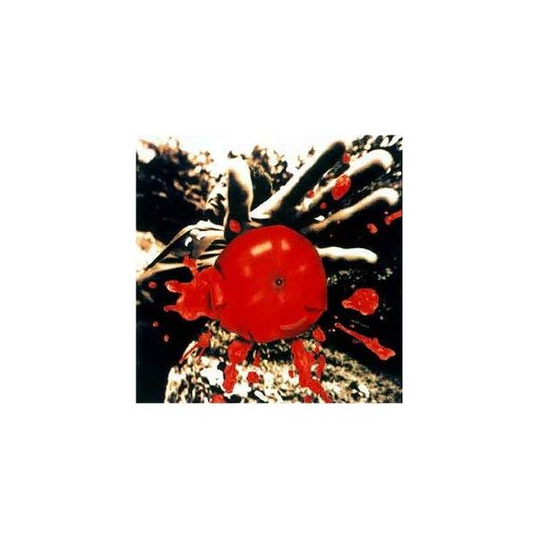 孤独の太陽 レンタル落ち 中古 CD