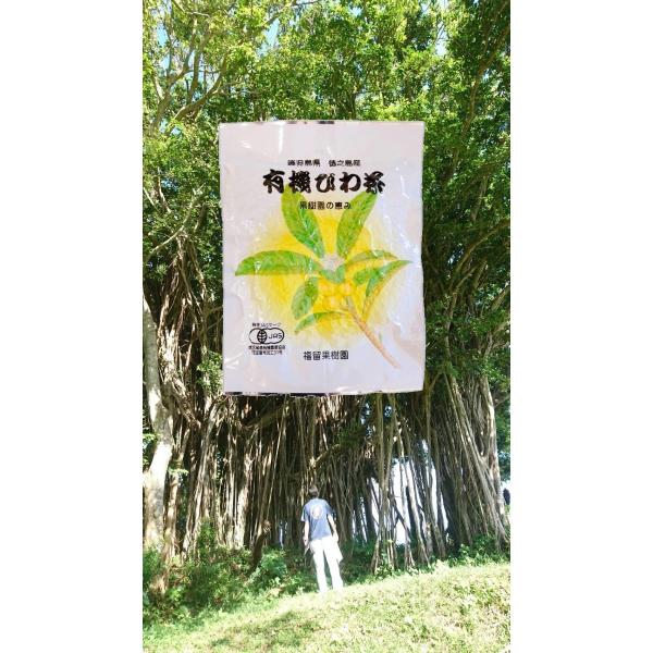 т풃eB[pbN@3g×15܁@JASF@L@͔|tgp@ʎ@