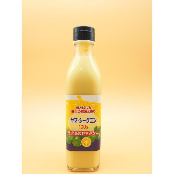 ݂W[X@Xg[g@_CL`Hi@VYV[Nj100@ROOml