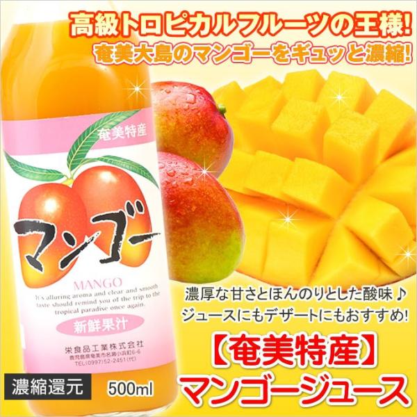 }S[W[X 500ml hHi }S[ ZkҌʎW[X t[cW[X Mtg 哇