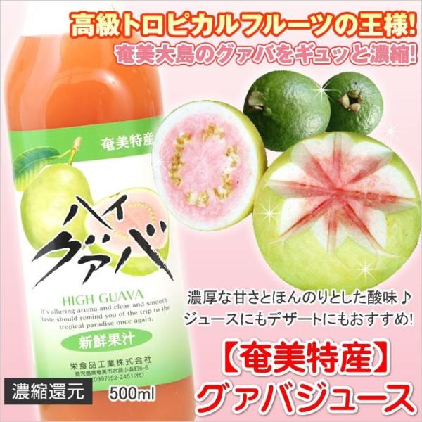グアバジュース 栄食品 500ml フルーツジュース 濃縮還元グアバ グァバ 果実ジュース ジュース ギフト 奄美大島のお土産店 通販 Yahoo ショッピング