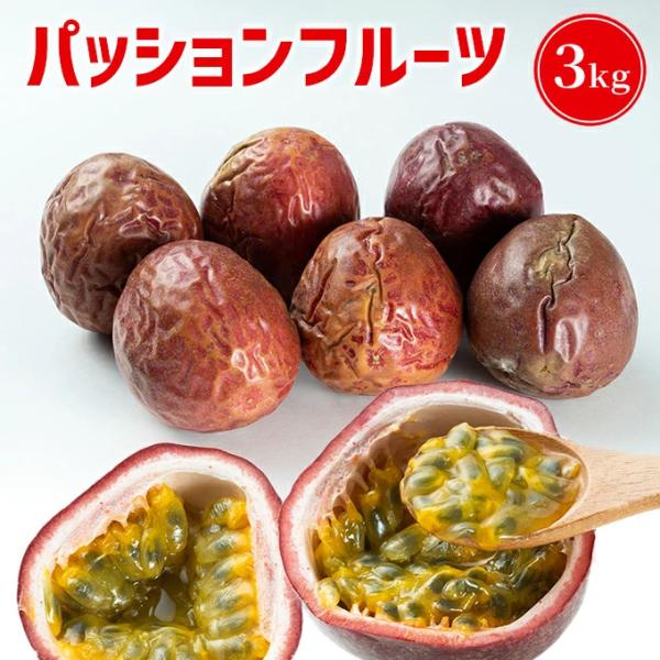 訳ありパッションフルーツ3kg 加工品パッションフルーツ3kg 時計草 奄美大島訳ありパッションフルーツ5kg パッションフルーツ5kg 時計草 奄美大島