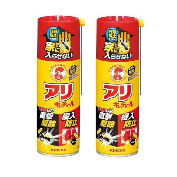 アリキンチョールV 300mL 蟻 蟻用駆除 忌避スプレー キンチョー 大日本除虫菊  【×2個セット】