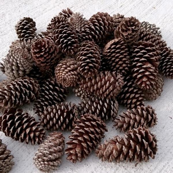 amawood_bokkuri-takitsuke-001