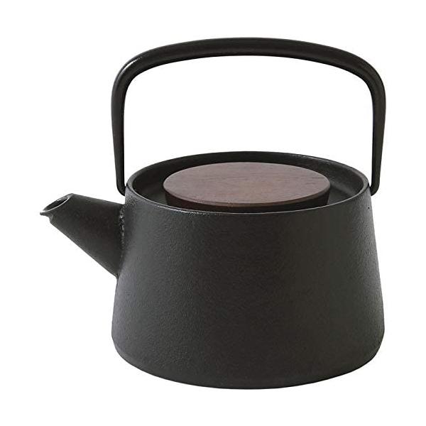 池永鉄工NEW tetu 南部鉄器 急須