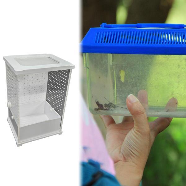 爬虫類飼育箱サソリサソリヤモリ用アクリル孵化容器10cmx8.5cmx15cm