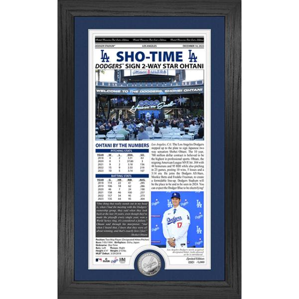The Amazing Mets Champions ポスター額入り