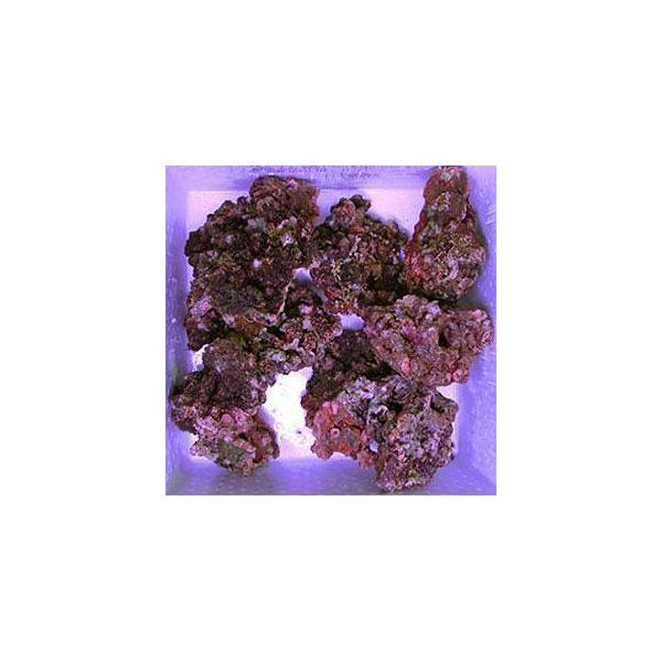 ライブロック　10キロ 良質！！☆ライブロック(10kg)（1個は3kg〜5kgのライブロックが入る